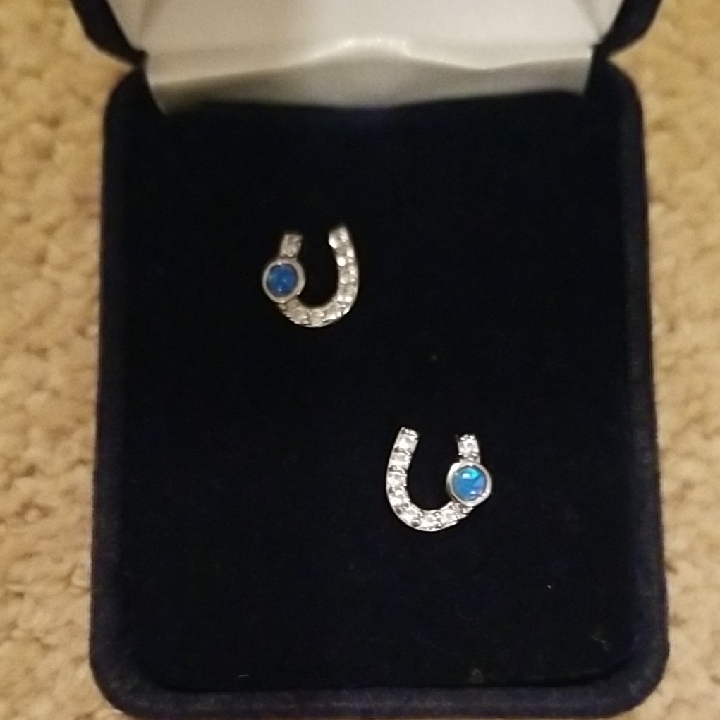 Montana Silversmiths Silver And Blue Gem Earrings 25$